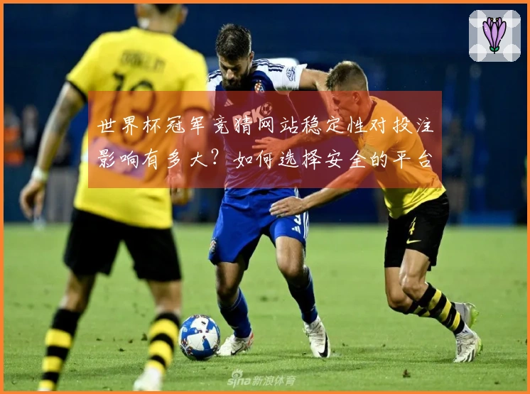 世界杯冠军竞猜网站稳定性对投注影响有多大？如何选择安全的平台？