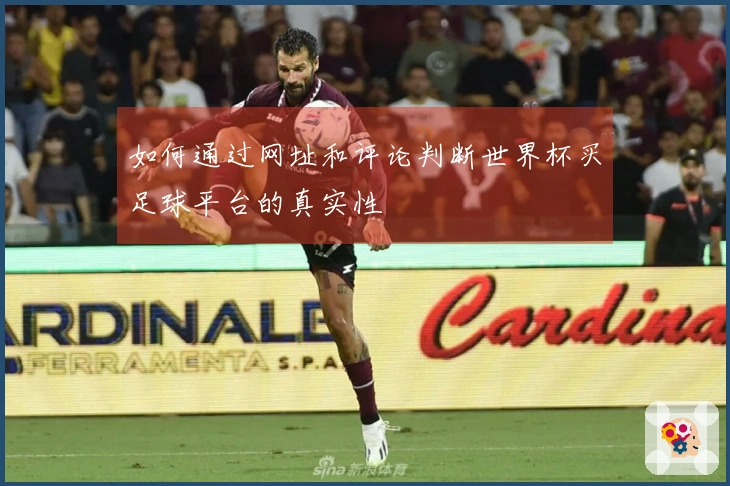 如何通过网址和评论判断世界杯买足球平台的真实性