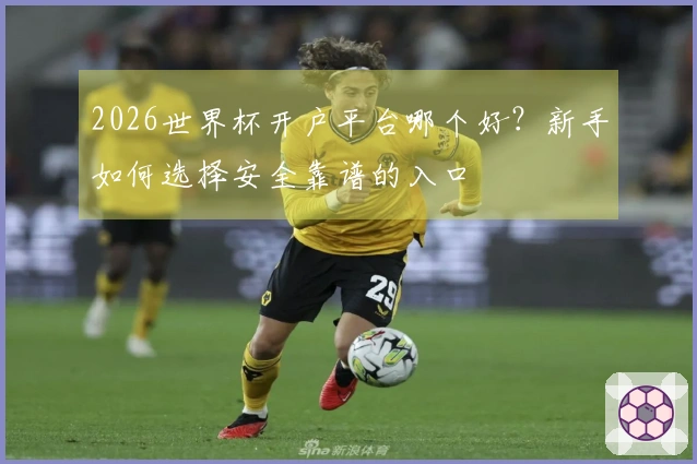 2026世界杯开户平台哪个好？新手如何选择安全靠谱的入口