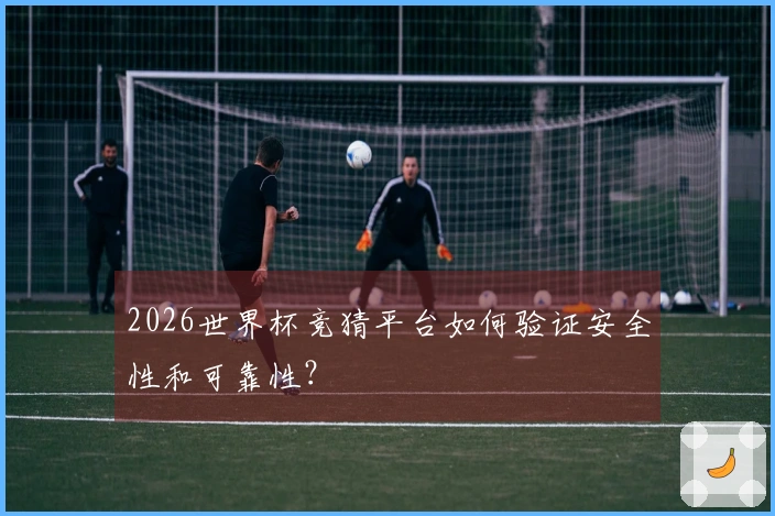 2026世界杯竞猜平台如何验证安全性和可靠性？