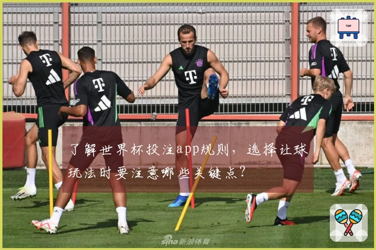 了解世界杯投注app规则，选择让球玩法时要注意哪些关键点？