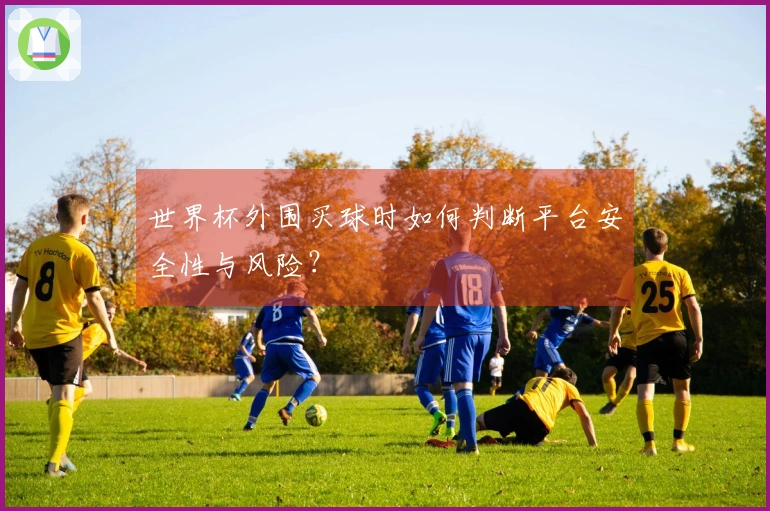 世界杯外围买球时如何判断平台安全性与风险？