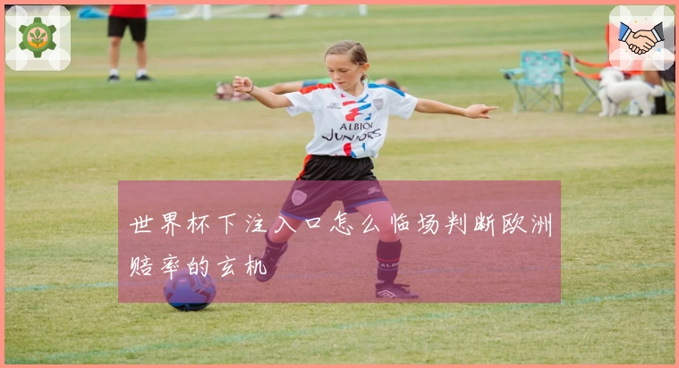 世界杯下注入口怎么临场判断欧洲赔率的玄机